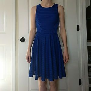 Electric Blue Dress